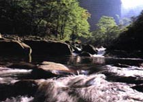 张家界国家森林公园天气 张家界国家森林公园天气