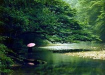 张家界水绕四门天气 张家界水绕四门天气