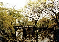 沙坪坝峨岭公园天气 沙坪坝峨岭公园天气