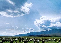 巫溪红池坝高山草场天气 巫溪红池坝高山草场天气