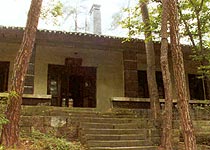 重庆林园天气 重庆林园天气