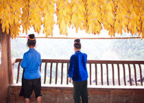 黎平天气 黎平天气
