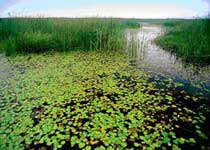 威宁草海天气 威宁草海天气