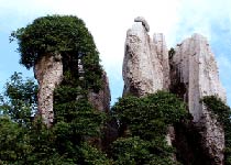 毕节韭菜坪天气 毕节韭菜坪天气