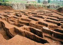 毕节可乐遗址天气 毕节可乐遗址天气