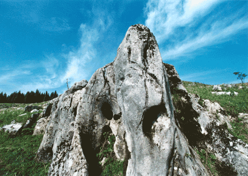 重庆云阳龙缸地质公园天气 重庆云阳龙缸地质公园天气