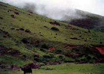 马边大风顶自然保护区天气 马边大风顶自然保护区天气