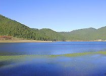 云龙天池天气 云龙天池天气