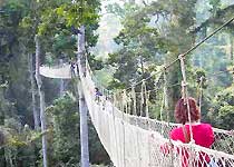 景洪空中走廊天气 景洪空中走廊天气