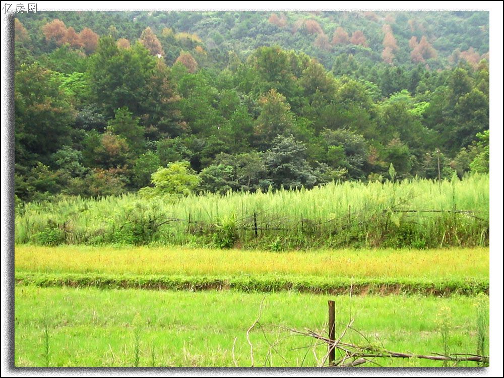 黄陂胜天农庄天气 黄陂胜天农庄天气