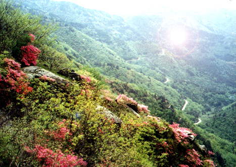 武汉云雾山郊野公园天气 武汉云雾山郊野公园天气