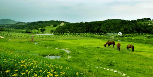 武汉木兰草原天气 武汉木兰草原天气