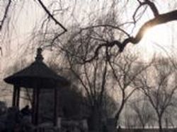 武汉大革命烈士就义处天气 武汉大革命烈士就义处天气