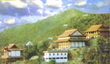 武汉新洲天气 武汉新洲天气