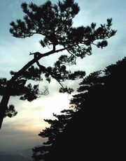 黄石龟山天气 黄石龟山天气