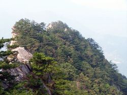 黄冈罗田天堂寨天气 黄冈罗田天堂寨天气