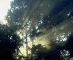 咸宁吴楚天游天气 咸宁吴楚天游天气