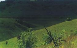 神农架千家坪天气 神农架千家坪天气