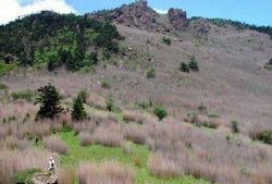 神农架箭竹林天气 神农架箭竹林天气