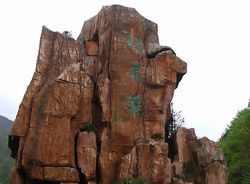 神农架动植物标本馆天气 神农架动植物标本馆天气