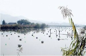 成都白塔湖天气 成都白塔湖天气