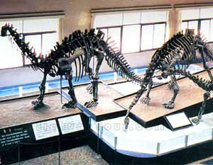 自贡恐龙博物馆天气 自贡恐龙博物馆天气