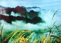 什邡蓥华山天气 什邡蓥华山天气