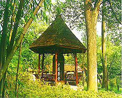 绵阳三台杜甫草堂天气 绵阳三台杜甫草堂天气