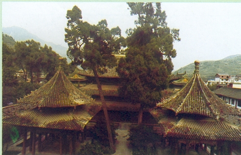 绵阳大禹故里天气 绵阳大禹故里天气