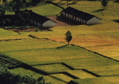 宜宾筠连岩溶天气 宜宾筠连岩溶天气