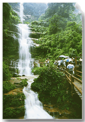 雅安碧峰峡天气 雅安碧峰峡天气