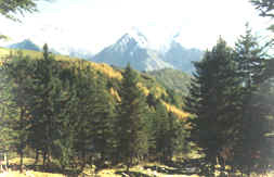 雅安夹金山天气 雅安夹金山天气