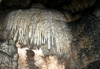遵义双河溶洞天气 遵义双河溶洞天气