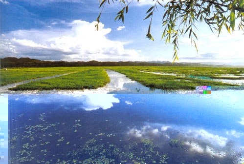 毕节威宁草海天气 毕节威宁草海天气