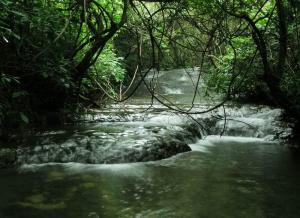 荔波大小七孔天气 荔波大小七孔天气