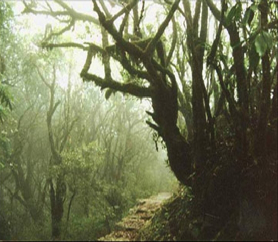 黔南瑶人山天气 黔南瑶人山天气