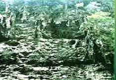 荔波茂兰喀斯特森林天气 荔波茂兰喀斯特森林天气