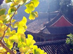 玉溪秀山历史文化公园天气 玉溪秀山历史文化公园天气