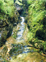 玉溪白龙泉天气 玉溪白龙泉天气