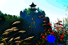 安康奠安塔天气 安康奠安塔天气