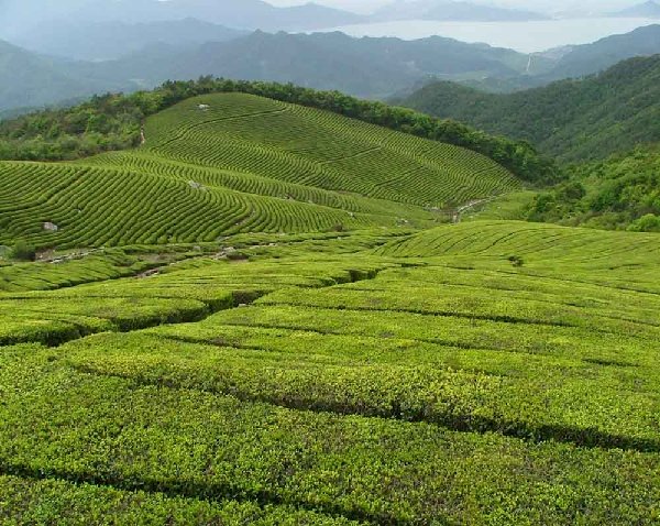 安康三道门森林公园天气 安康三道门森林公园天气