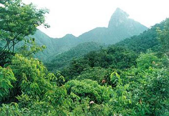 延安国家森林公园天气 延安国家森林公园天气