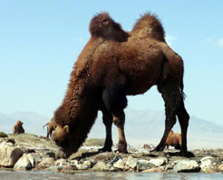 海西塔温搭里哈遗址天气 海西塔温搭里哈遗址天气