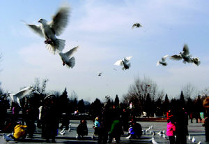 银川中山公园天气 银川中山公园天气