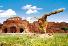 银川华夏珍奇艺术城天气 银川华夏珍奇艺术城天气