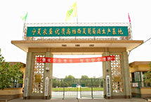 西夏王葡萄酒业天气 西夏王葡萄酒业天气