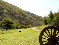 固原凉天峡天气 固原凉天峡天气
