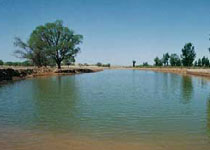 吴忠哈巴湖天气 吴忠哈巴湖天气