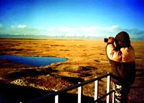 格尔木索南达杰保护站（可可西里）天气