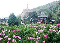 延安万花山天气 延安万花山天气